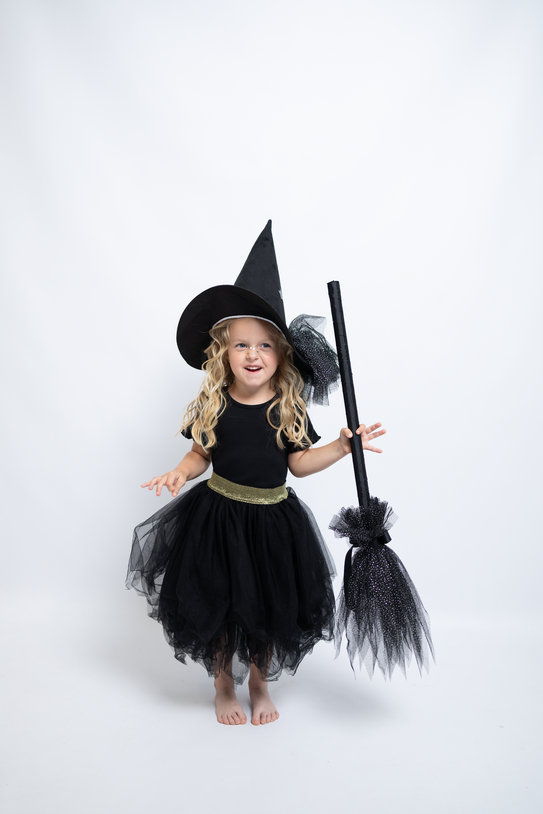 Witch's broom Moonlight Guardian | moonshadow
