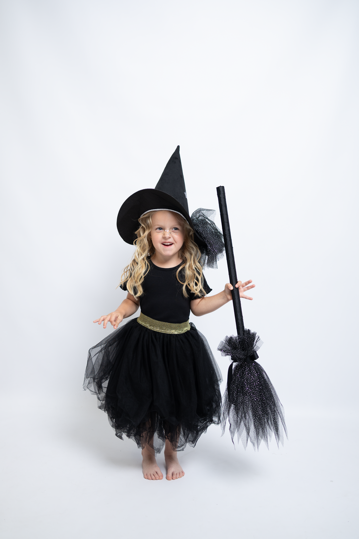 Witch's broom Moonlight Guardian | moonshadow